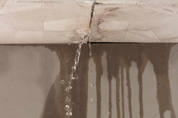 Professional Structural Drying technician working in Highland, AR